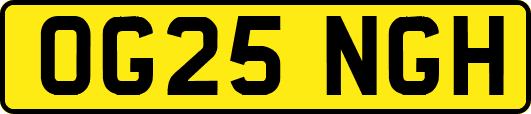 OG25NGH