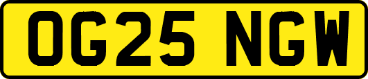 OG25NGW
