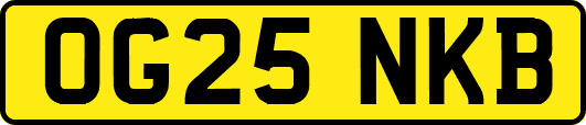 OG25NKB