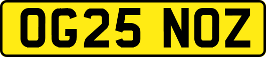 OG25NOZ