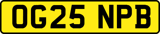 OG25NPB