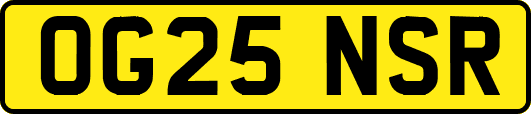 OG25NSR