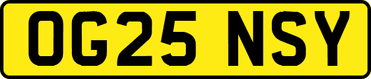 OG25NSY