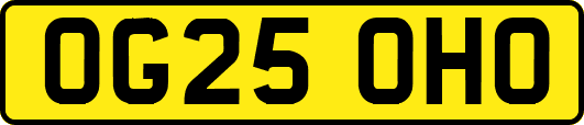 OG25OHO
