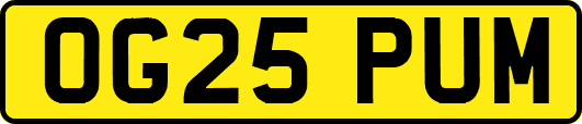 OG25PUM
