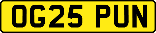 OG25PUN