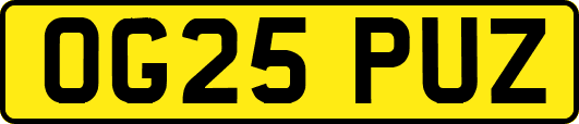 OG25PUZ