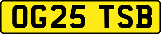 OG25TSB