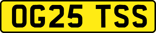 OG25TSS
