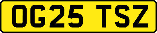 OG25TSZ
