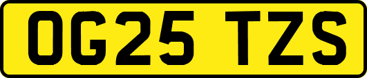 OG25TZS