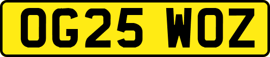 OG25WOZ
