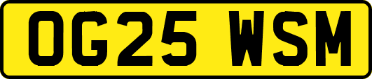 OG25WSM