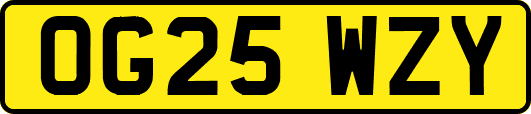 OG25WZY