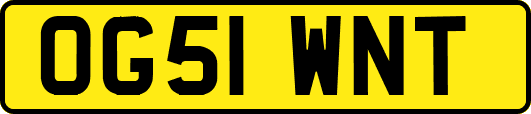 OG51WNT