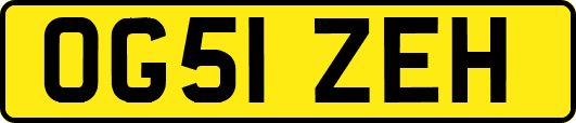 OG51ZEH