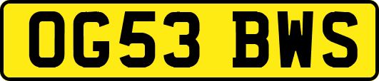 OG53BWS