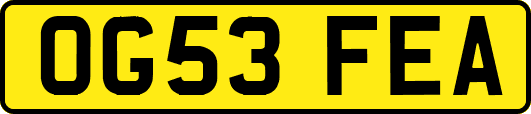 OG53FEA