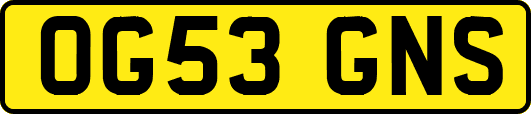 OG53GNS
