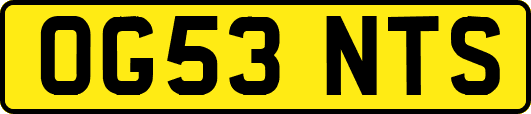 OG53NTS