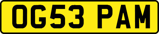 OG53PAM