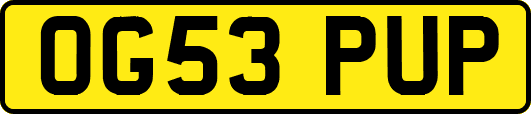 OG53PUP