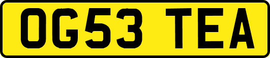 OG53TEA