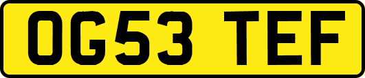 OG53TEF