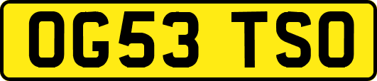 OG53TSO