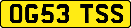 OG53TSS