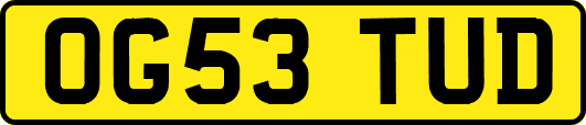 OG53TUD
