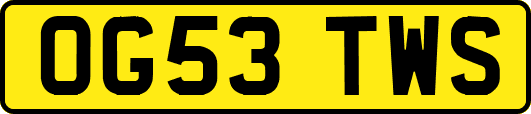 OG53TWS