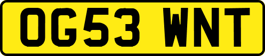 OG53WNT