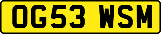 OG53WSM