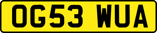 OG53WUA