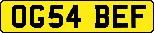 OG54BEF