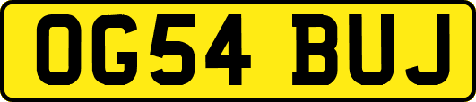 OG54BUJ