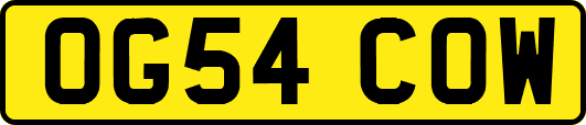 OG54COW