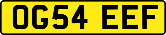 OG54EEF
