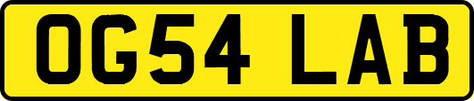 OG54LAB
