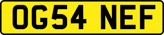 OG54NEF