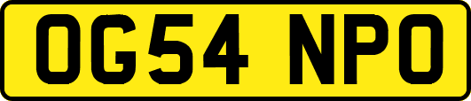 OG54NPO
