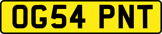 OG54PNT