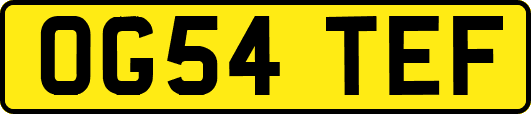 OG54TEF