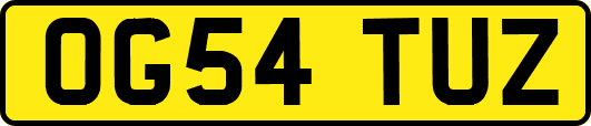 OG54TUZ
