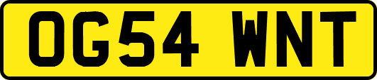 OG54WNT