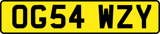 OG54WZY