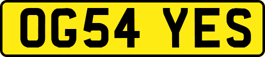 OG54YES