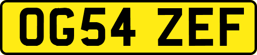 OG54ZEF
