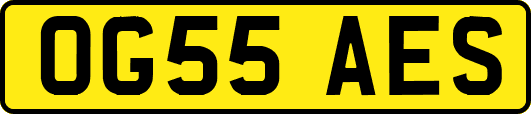 OG55AES